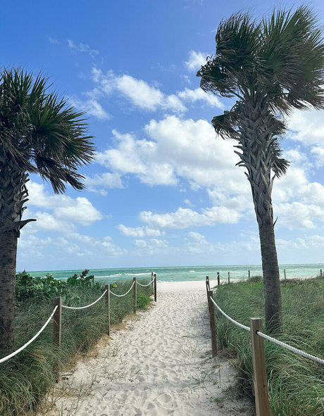 nur fans mit großem hintern schöne heiße galerien