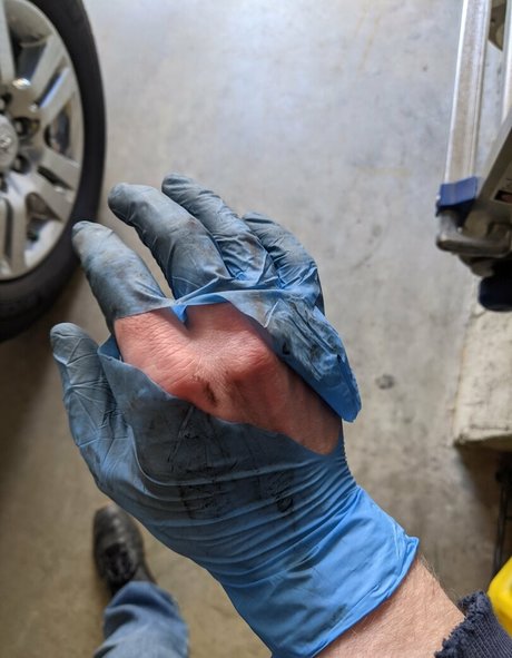 gutfuzz hd freie bilder