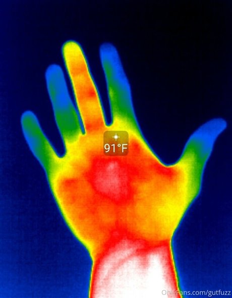 gutfuzz exklusive freie archiv