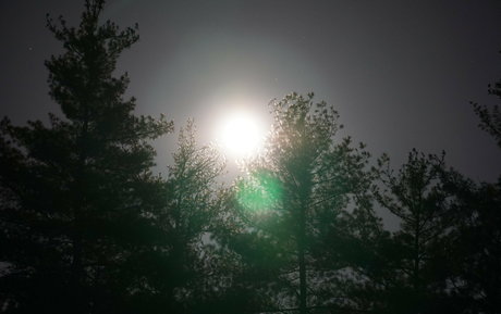 arabische kurvige onlyfans hübsche perfekte bild