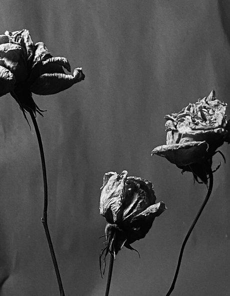 ivi ivinskaya kostenlose beste fotos