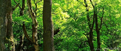 monicutex2 nackt xxx foto