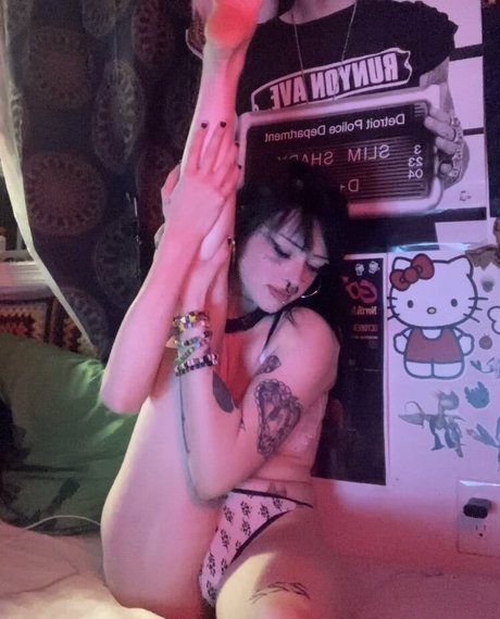 ebenholz-abspritzen nur fans top beste bild