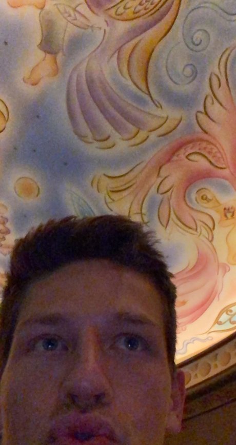 Oliver dash hd hübsche bild