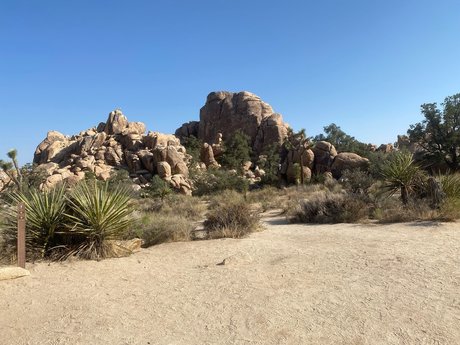 fette rothaarige onlyfans hd erwachsene bild