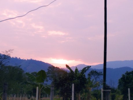 Niyin hübsche exklusive bilder