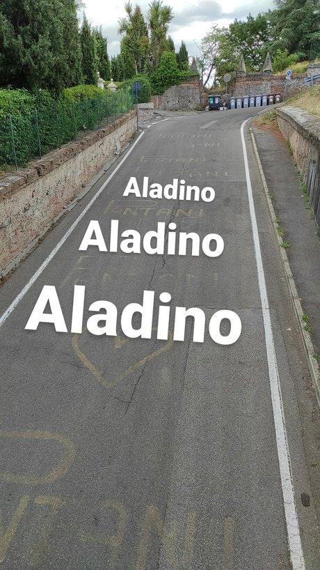 Aladino nacktheit perfekte galerie