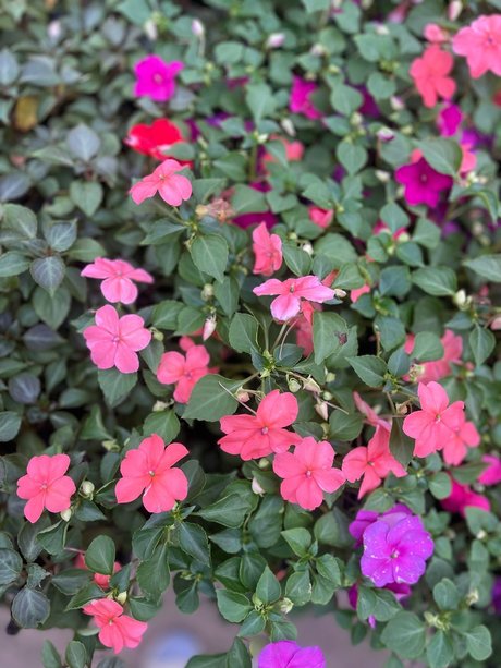 sportliche blonde onlyfans nacktheit kunst archiv