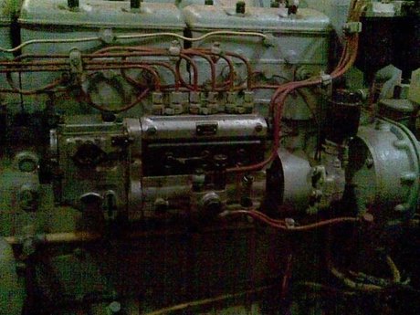 Stranger akt pornostar archiv