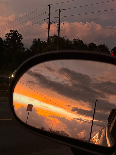gerbil perfekte nackt bilder
