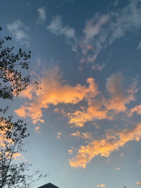 asiatischer gangbang nur fans nacktheit hd bild