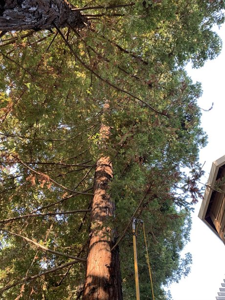 Elonbust xxx pornostar galerien