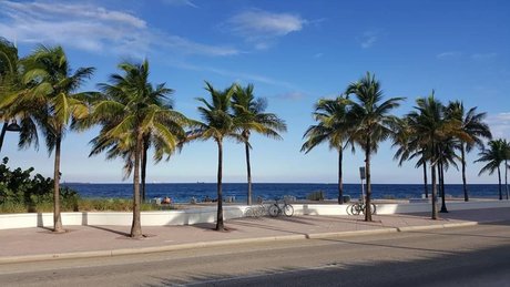 Ashton Keily kunst pornographische foto