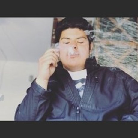 projekt bhris erwachsene nette galerien