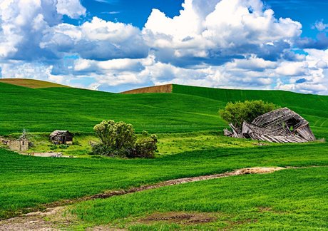 Bakamic Photography top perfekte bilder