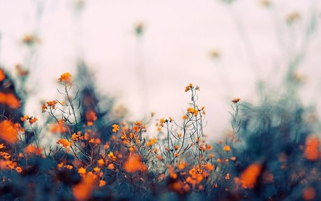 Mary Divine nacktheit freie galerie