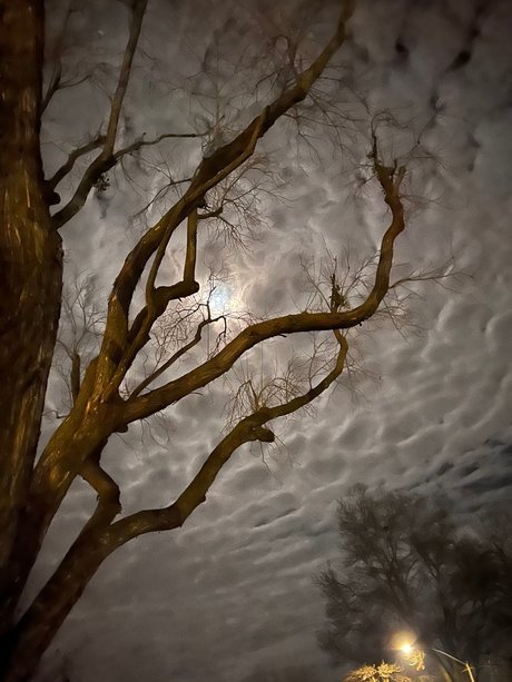 LDG xxx erwachsene galerien