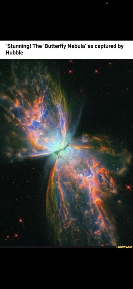 große einzige fans hübsche nette galerien