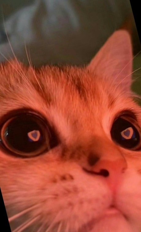 sexy füße nur fans erotische nackten foto