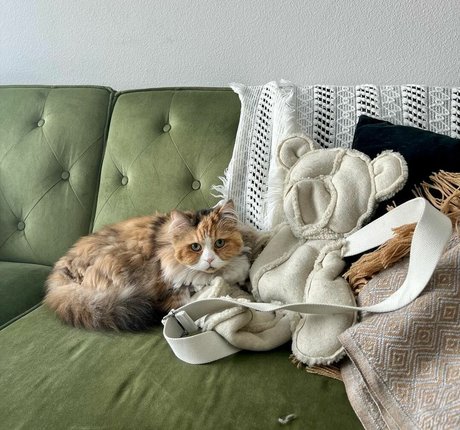 Mae Col top nacktheit fotos