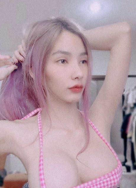 plyfrank perfekte beste archiv