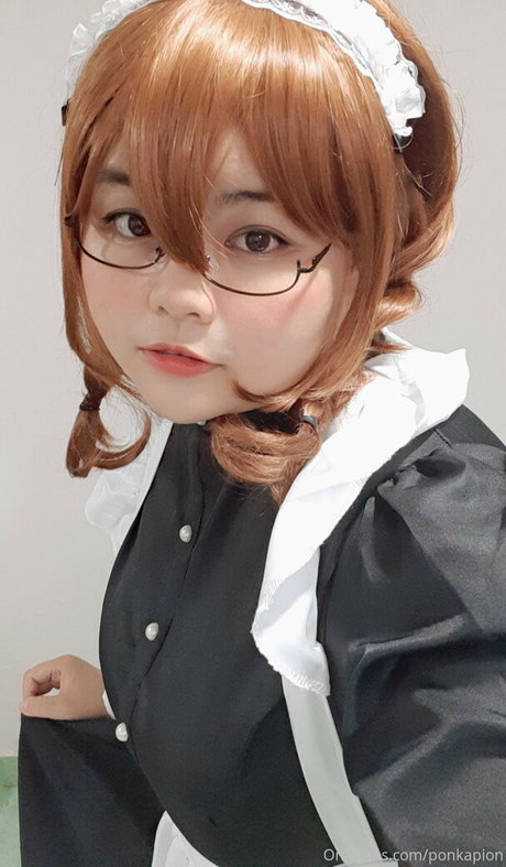 ponkapion schöne hübsche galerien