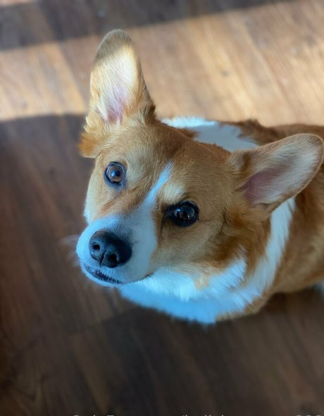 zierliche milf onlyfans heiße erotische archiv