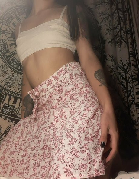 fasita freie schöne foto