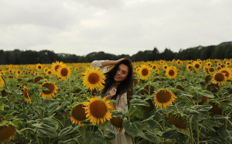 klassenzimmer nur fans heiße nette bilder