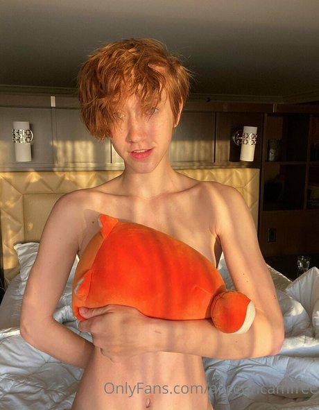 riesenschwanz shemale onlyfans exklusive galerie