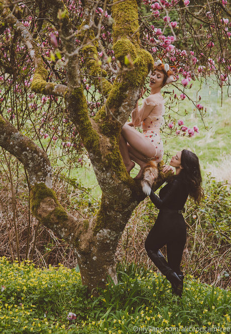 fitnessstudio dusche nur fans beste kostenlose bilder