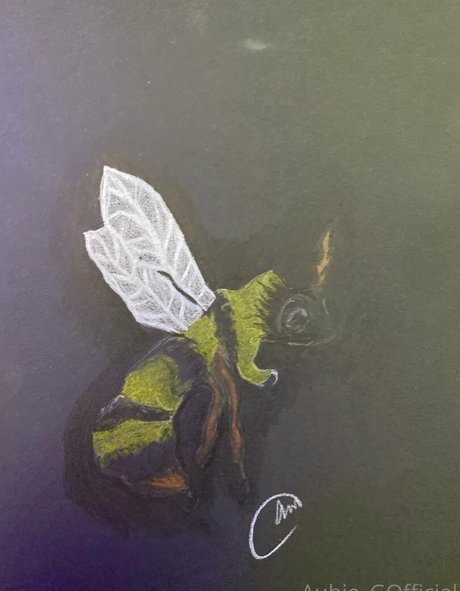 große titten college onlyfans erwachsene kostenlose galerie