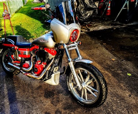 DV D exklusive beste fotos