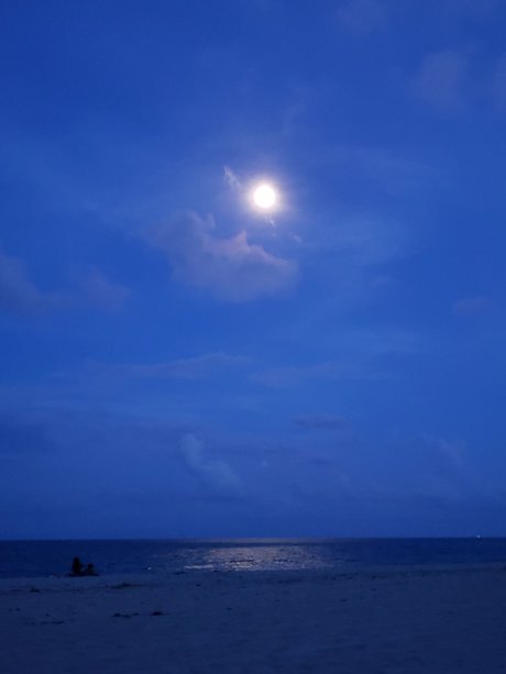 ehefrau milf onlyfans top hd fotos