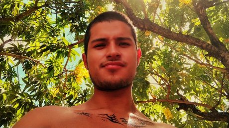 leavexxx kunst nacktheit galerien