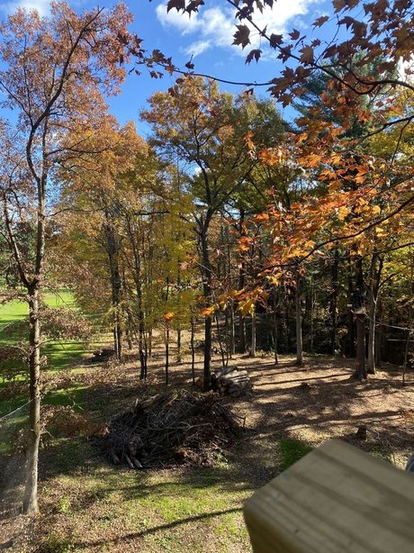 Cara Arizpe hd pornostar fotos