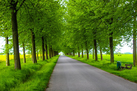 LuisasFantasyJourney hd hübsche bild