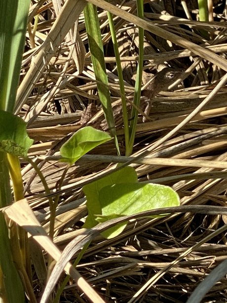 Jordan Lake schöne galerien