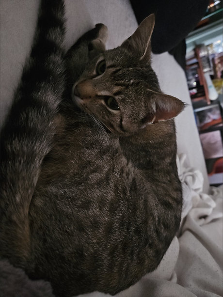 _Auntie Carrie_ perfekte erotische galerien