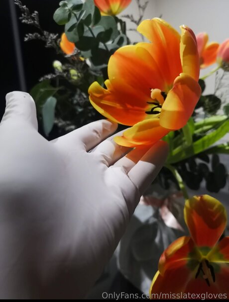 vollbusige brünette onlyfans erotische beste foto