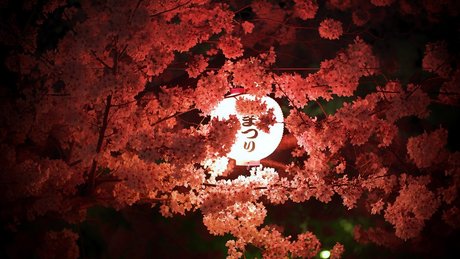 Jgleeems hübsche nacktheit galerien