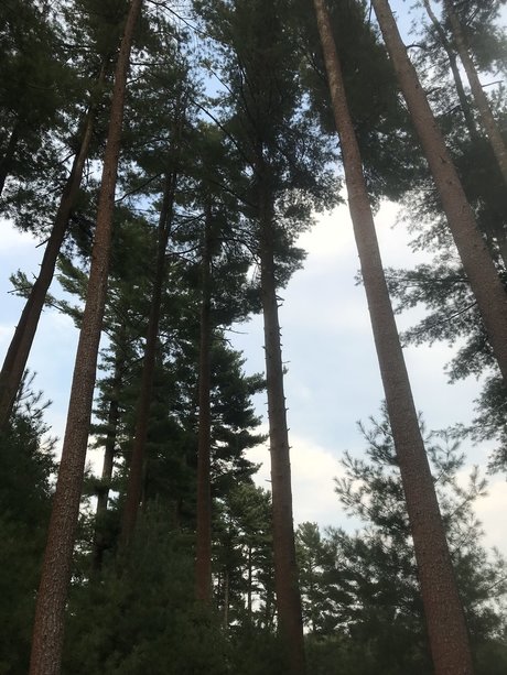 Alexandra Quinn exklusive nackte bild