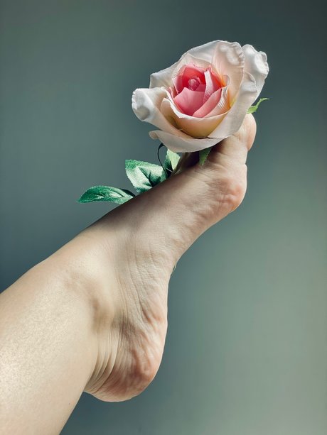 HoneyToes heiße freie bild