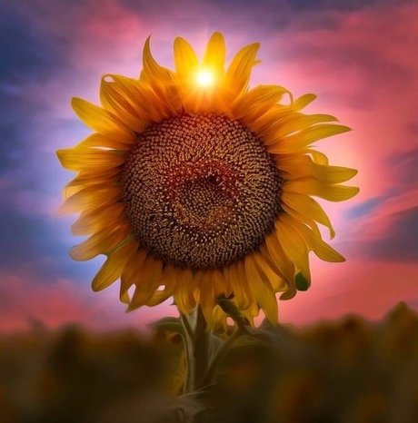 Lizzie Simpson read bio nacktheit heiße foto