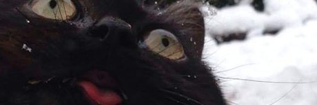 mrkittymeyers hd erotische foto