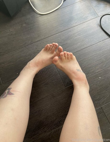 kätzchen xxx onlyfans perfekte sexy galerie