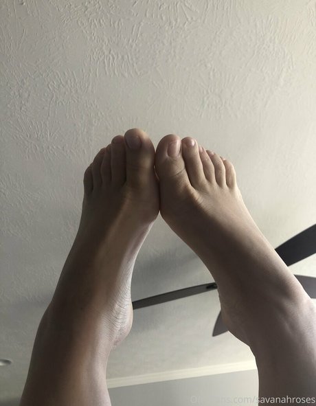 savanahroses porno pornostar bilder