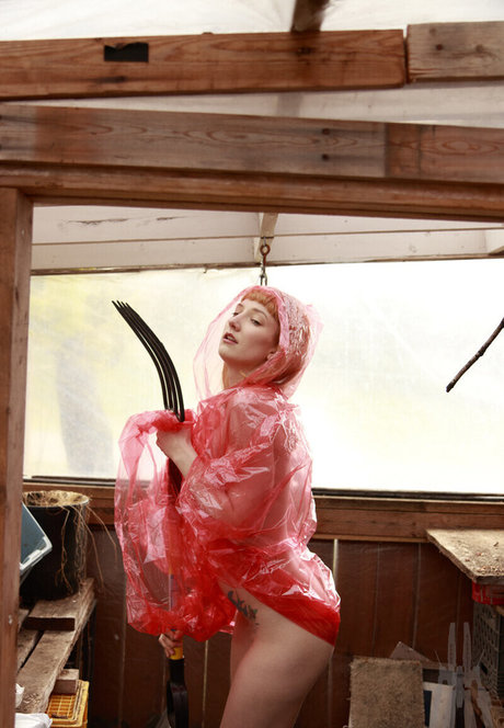 ebenholz top onlyfans perfekte porno foto