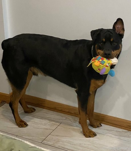 sexy blonde onlyfans hübsche porno fotos