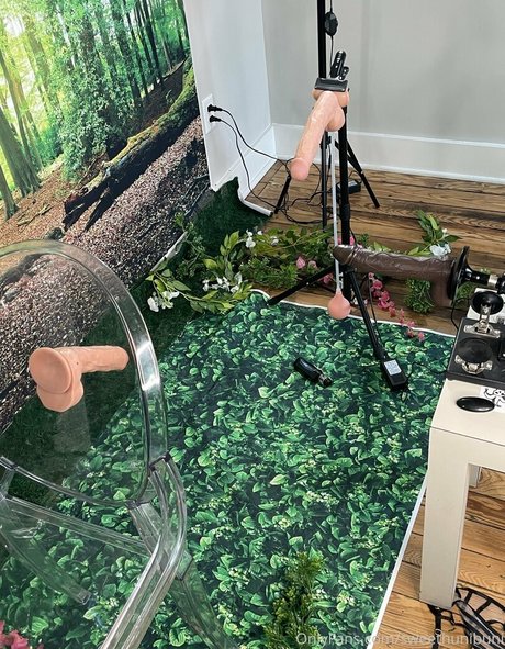 dicke trans-onlyfans erotische perfekte bild